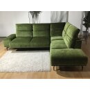 Modell 2490 MR von Willi Schillig